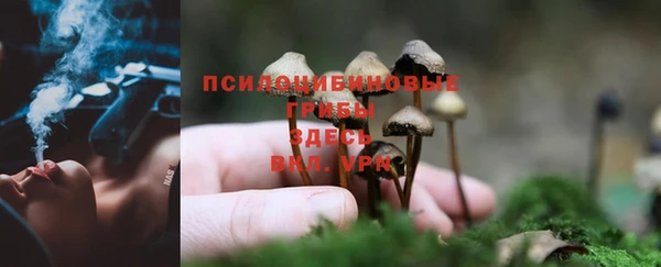 spice Наволоки