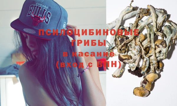 мяу мяу мука Надым