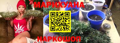 каннабис Будённовск