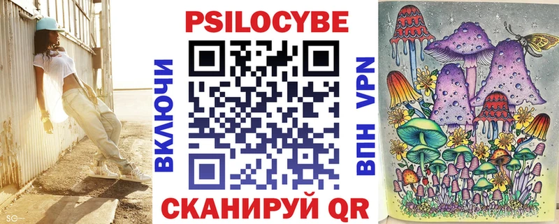 наркотики  Димитровград  Псилоцибиновые грибы прущие грибы 