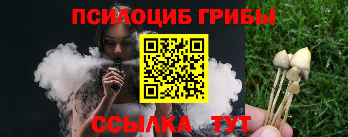 Галлюциногенные грибы MAGIC MUSHROOMS  Галлюциногенные грибы прущие грибы  Вход с VPN  как найти закладки  Димитровград 