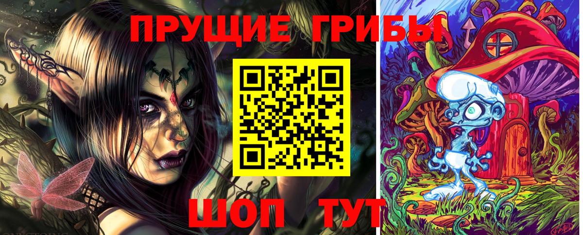 закладка  Димитровград  Псилоцибиновые грибы прущие грибы 